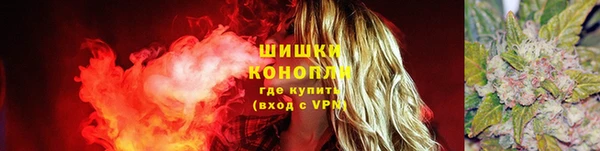 ГАЛЛЮЦИНОГЕННЫЕ ГРИБЫ Иннополис