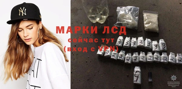 сатива Инта