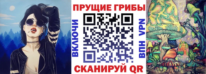 Псилоцибиновые грибы прущие грибы ОМГ ОМГ сайт Кингисепп