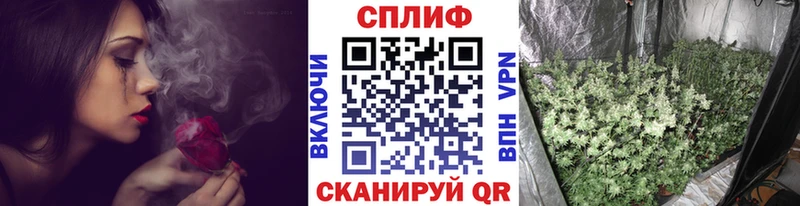 Каннабис планчик Кингисепп
